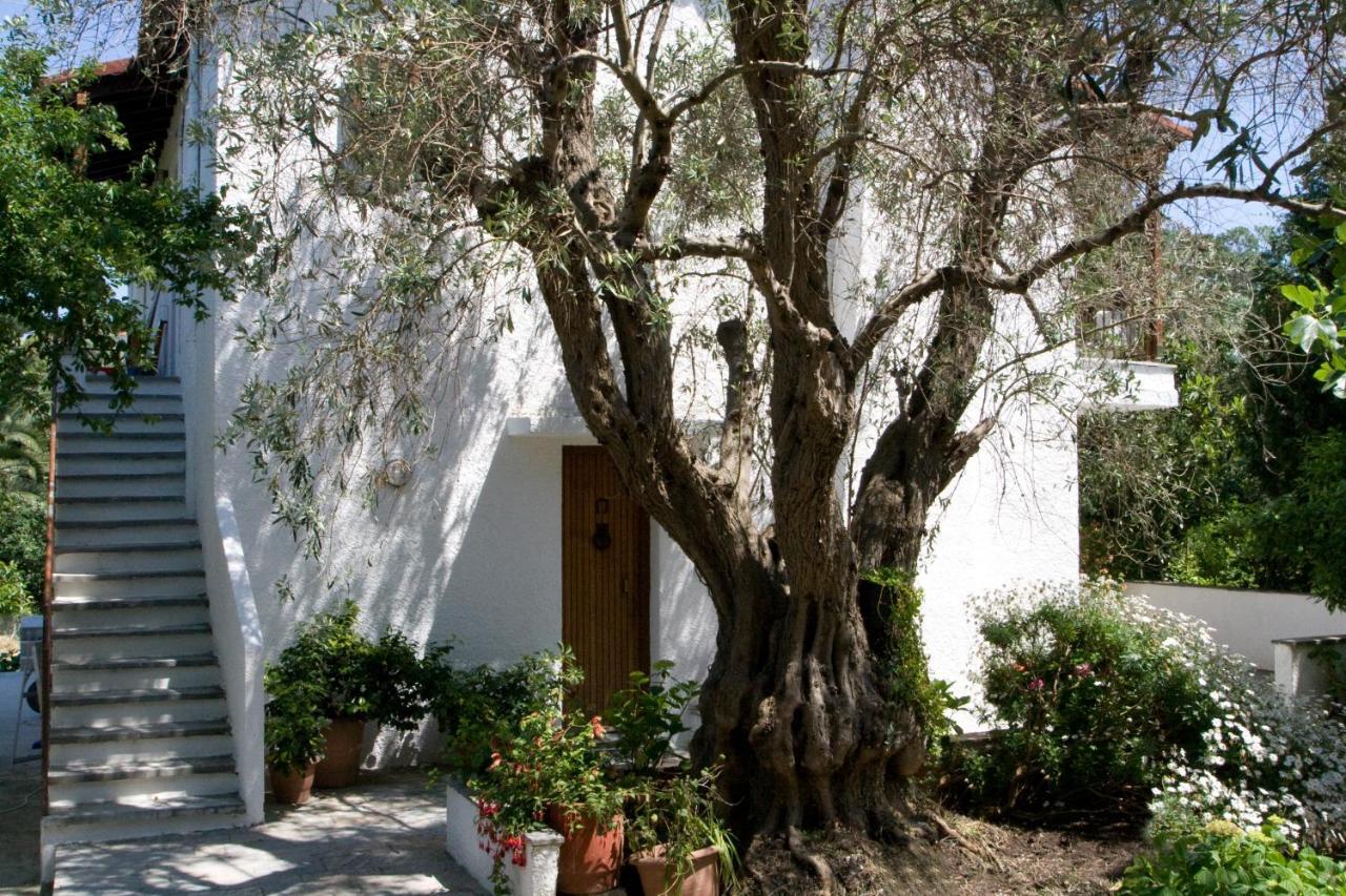 Villas Alexandra Skiathos Platanias  Exterior foto